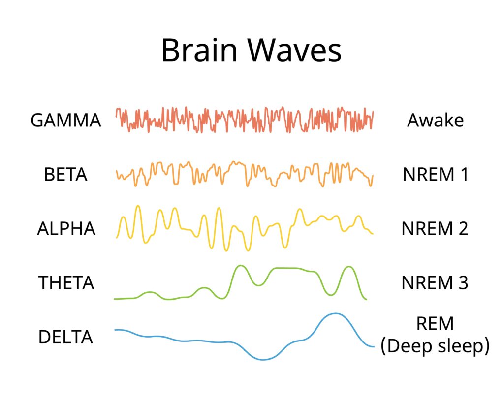 what are brainwaves different types of brainwaves