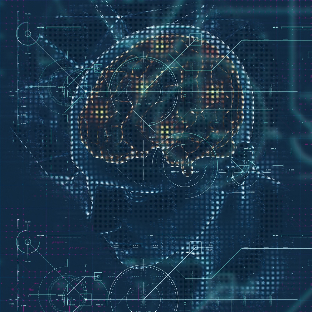 Functional Brain Map